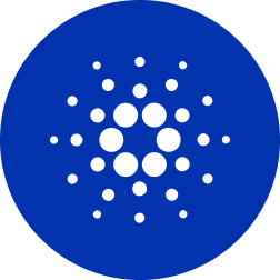 Blockchain Protocol